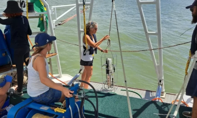 Veleiro ECO encontra vida em formação em meio à alta quantidade de plástico no Rio Itajaí
