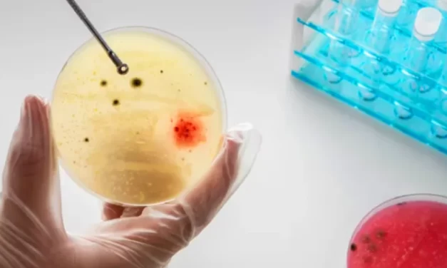 Curso gratuito aborda ferramentas de inteligência artificial para microbiologia