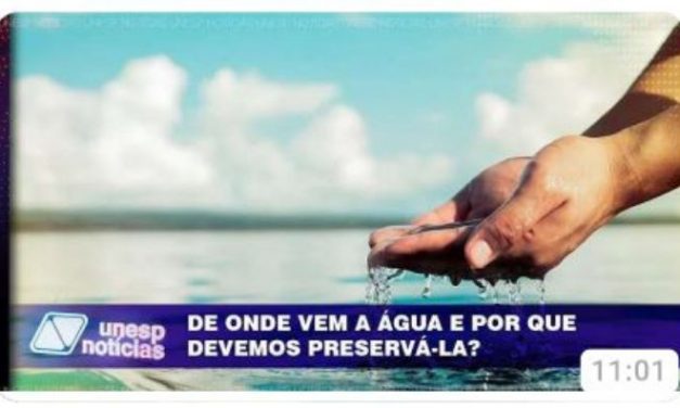 Como preservar, de fato, a água, e por que não apostar mais na dessalinização da água do mar?