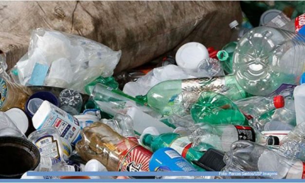 Cientistas da USP aprimoram modelo para prever o efeito do microplástico no ambiente