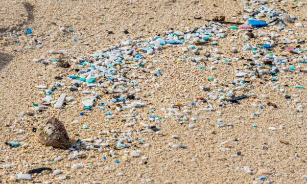 Os microplásticos são contaminantes emergentes que preocupam e desafiam pesquisadores e autoridades