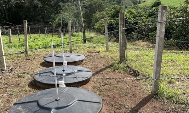 Produtores rurais evitam despejo de quase 16 mi de litros de esgoto na natureza com uso de tecnologias de saneamento