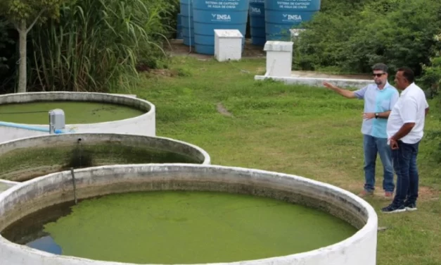 Pesquisadores do Insa desenvolvem tecnologia de reuso da água do esgoto para irrigação