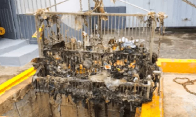 Compesa alerta sobre o descarte irregular de lixo nas redes de esgoto