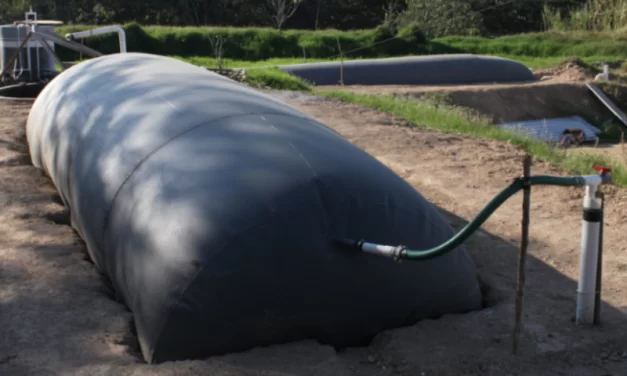 “Série Energia”: Efluentes agrícolas são alternativa para gerar energia no campo