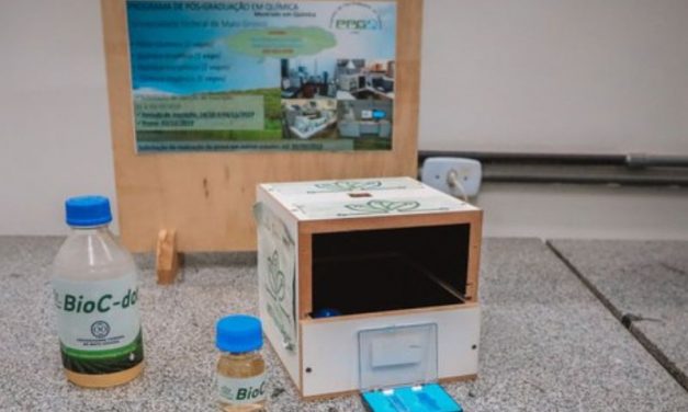 Reuso de água de dejetos acelera desenvolvimento de plantas