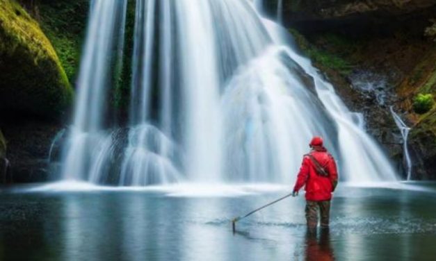 Água: A Fonte da Vida