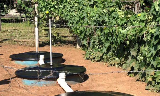 Embrapa e Consórcio PCJ fazem parceria inédita em saneamento rural