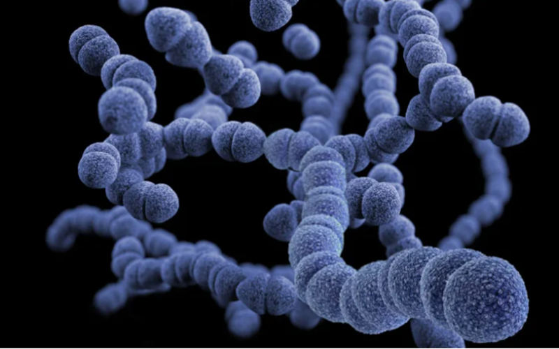 resistencia_a_anitibioticcos anitibioticcos