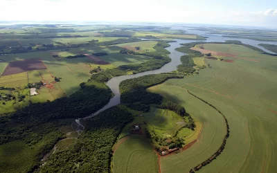 Com amplo reflorestamento, Rio Iguaçu tem maior volume de água em 12 anos