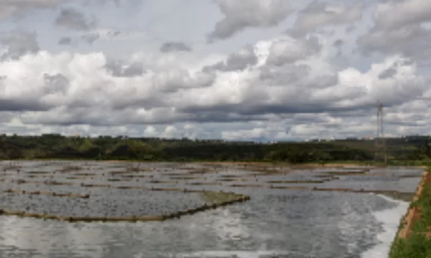 Resolução trata de outorga para lançamento de águas pluviais no DF