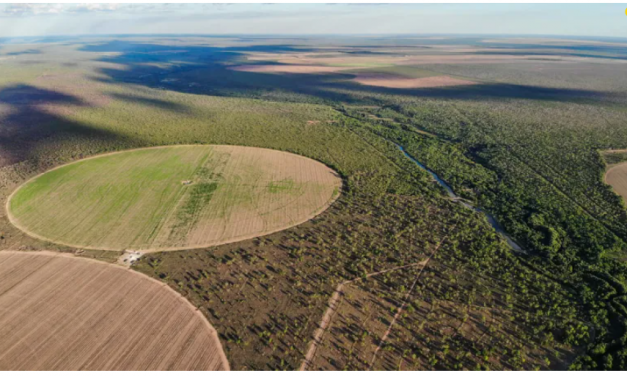 Os donos da água: 50 empresas podem usar mesma quantidade que metade do Brasil