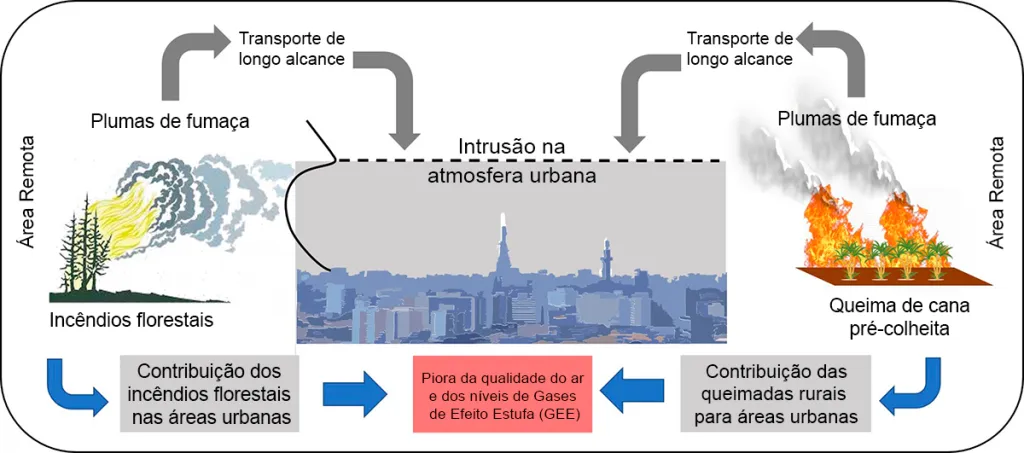 20231106_grafico_queimadas grafico_queimadas