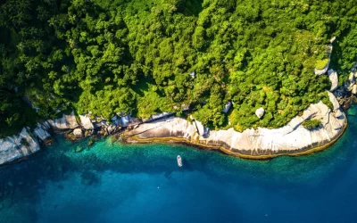 Diagnóstico fechado: prosperidade do Brasil depende de um oceano saudável