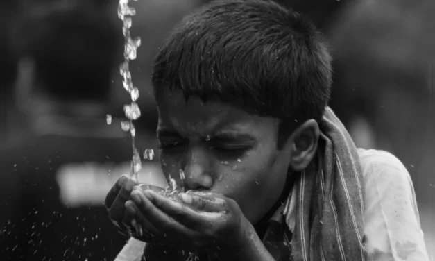 Portaria de Potabilidade de Água para Consumo Humano em busca de um  novo paradigma