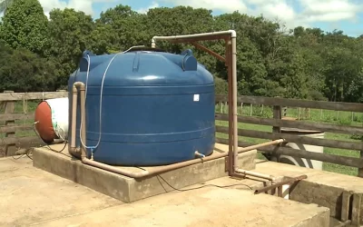 Pequenos bovinocultores podem economizar R$ 1,45 bi anuais com biodigestores