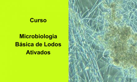 Curso Microbiologia Básica de Lodos Ativados