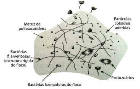 lodo_ativado lodo_ativado